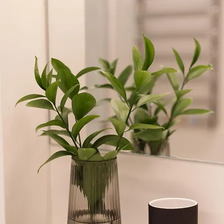 Appartement Liberdade Boutique